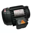 mô tơ thủy lực Động cơ bơm dầu thủy lực TAICHENG Đài Thành 1HP-0.75KW 2HP-1.5KW 3HP2.2KW 3.75KW motor dầu thủy lực motor thủy lực hình sao 