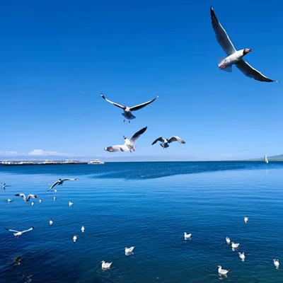 拉脊山/青海湖/日月山/倒淌河/金银滩/原子城/西宁一日游