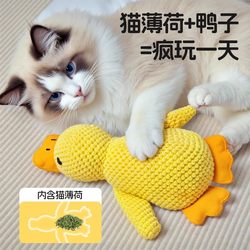 Cat Toy Self-Entertainment Boredom-Relief Chew-Resistant Teething Crinkle Paper Sound-Making Kitten Plush Mint Toy Pet Supplies Cat Teaser Wand