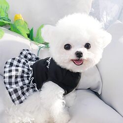 Bichon Dog Clothes 2023 New Summer Thin Dress for Teddy, Pomeranian, Cats, and Small Dogs Summer Princess Dress