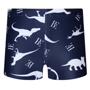 BE van der Ann Joint Children's Swimming Bottom Anti-Chlorine Cartoon
