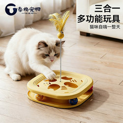 Cat Teaser Wand Toy, Self-Entertainment Boredom Buster, Feather Bell, Fun Play, Kitten Energy-Consuming and Brain-Stimulating Toy