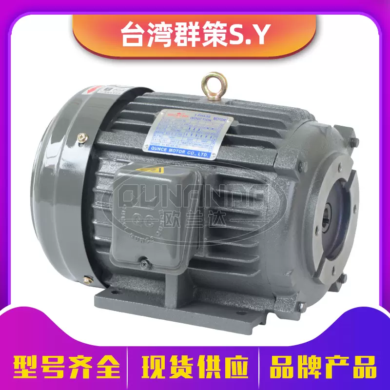 台湾群策SY液压油泵专用内轴电机C01/C02/C03/C05/C7B/C10-43B0-Taobao