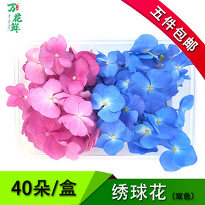 
Fresh hydrangea pink blue 5 boxes free shipping edible flowers hotel western food plate cake decoration