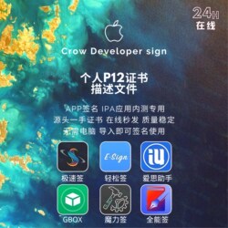 Ios Instant Self-Signing Certificate, All-In-One Signature, Easy Signing, Magic Signature, P12 Certificate, Description File, Self-Signing Certificate