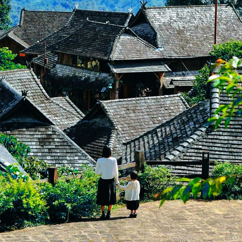 西双版纳 普洱景迈山+糯干古寨+翁基古寨纯玩一日游 15人精致小团