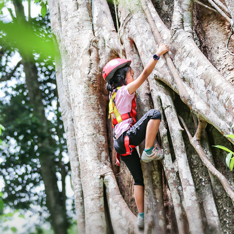 西双版纳基诺山雨林徒步一日游 优选向导/餐/竹筏/树降/秋千/射箭