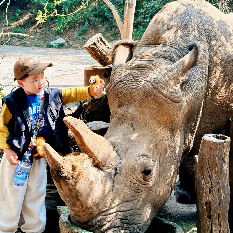 【一家一团】云南西双版纳旅游-普洱太阳河森林公园纯玩一日游