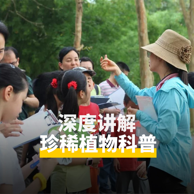 西双版纳 中科院热带植物园西区讲解丨精选导游讲解丨多场次可选