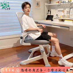 Special Writing Desk Chair for Young High School and Junior High School Students, Adjustable Ergonomic Computer Chair, Children's Study Chair for Home Use