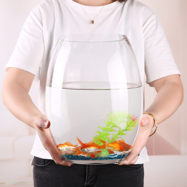 Transparent Aquarium Tank Multi-function Betta Tank Desktop Goldfish Tank Office Decor B4249d8a 9d36 44c4 B132 C060b7186ce7.bfefe2bfe2cbd20ae70f14870b195124