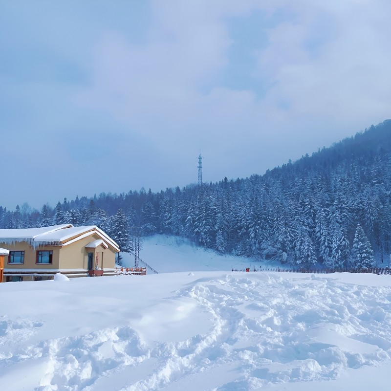 哈尔滨雪乡4天3晚8人小团纯玩 亚布力滑雪马拉爬犁冰雪画廊