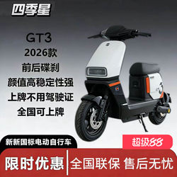 Xinxing National Standard Four Seasons Star Gt3 Smart Electric Vehicle for Adult Household Use