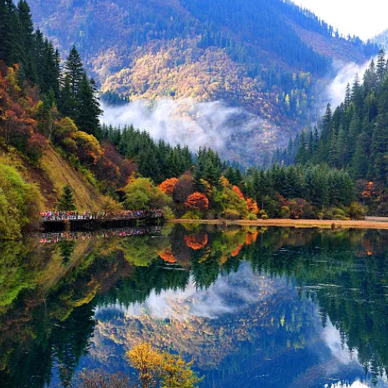 ●2-8人团纯玩九寨沟一日游可选含动车票四川成都周边游含门票