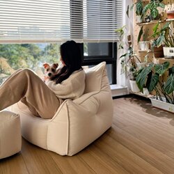 Zhiyi Home Furnishings Little Monster Bean Bag Tatami Bed & Breakfast Lazy Sofa Single Person Balcony Leisure Simple Light Luxury Living Room