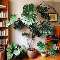 Artificial Monstera Plant for Landscaping, High-End Luxury Decor, Indoor Living Room Potted Plant, Floor-Standing Fake Tree for Office