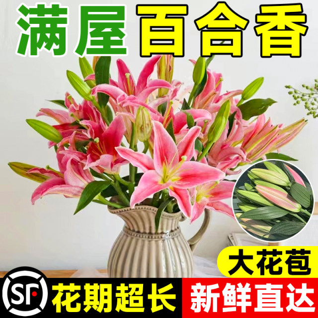 Perfume lily flowers Yunnan base direct hair hydroponic multi -head fresh -cut flower bundle flower insert bottle multiplier flowers