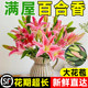 Perfume lily flowers Yunnan base direct hair hydroponic multi -head fresh -cut flower bundle flower insert bottle multiplier flowers