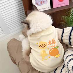 Cat Clothes for Autumn and Winter, Anti-Shedding, British Shorthair, American Shorthair, Blue Cat, Ragdoll, Devon Kitten, Small Dog, Warm Pet Clothes