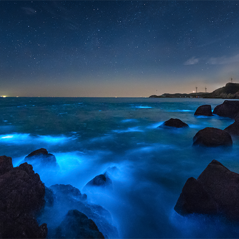 福州出发平潭纯玩1日游猴研岛+北港村+仙人井+龙凤头沙滩小团可选
