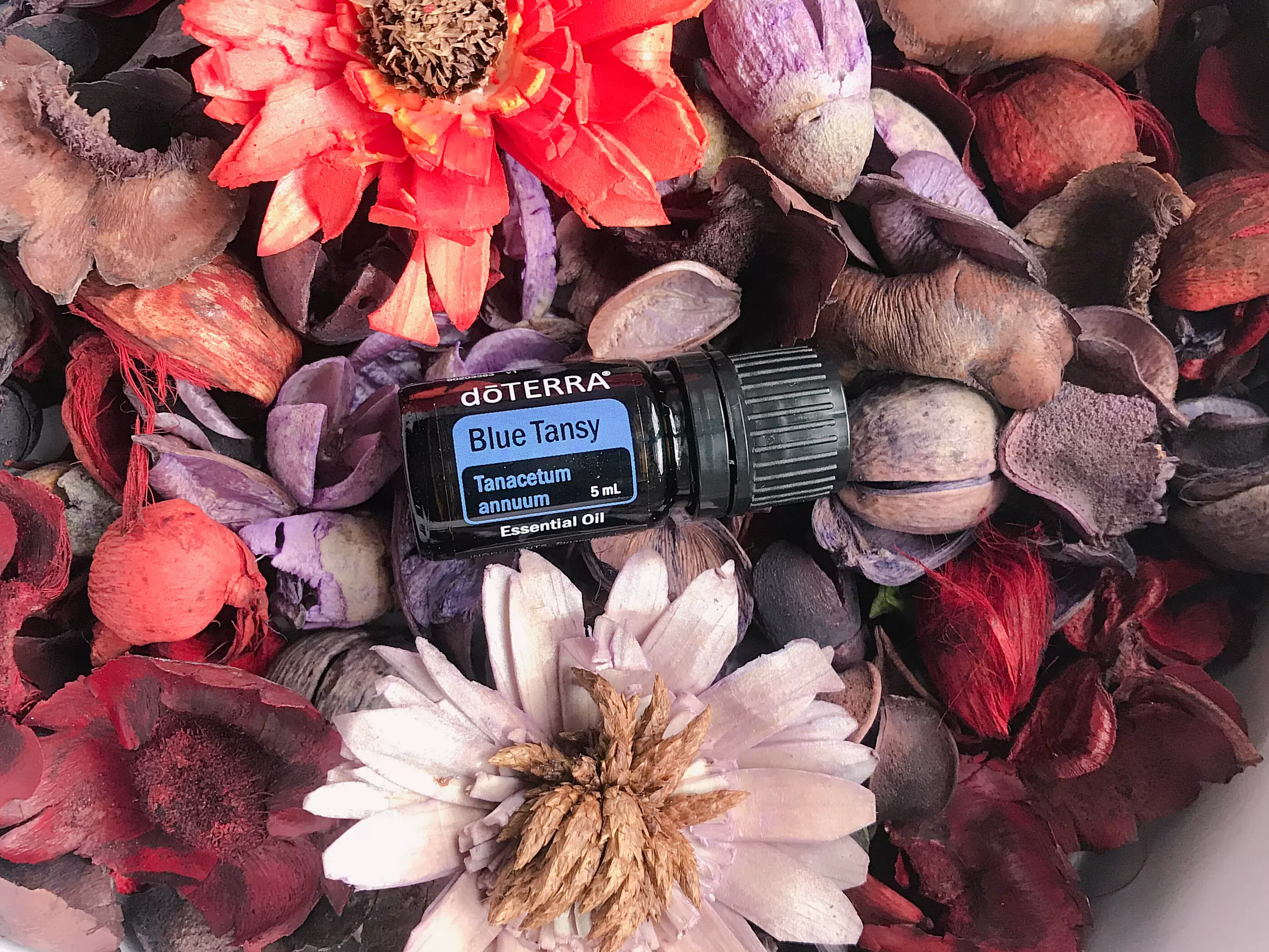 doterra多特瑞官网正品美版蓝艾菊单方精油5mlblue tansy按摩香薰