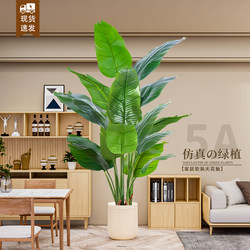 Large Bird of Paradise Artificial Potted Plant Living Room Decoration Simulated Green Plant Indoor Decoration High-End Artificial Flower Green Plant