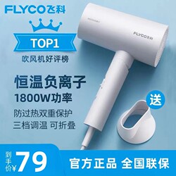 Feike Hair Dryer Student Dormitory High-Power Hot and Cold Air Negative Ion Hair Care Foldable Hair Dryer Household Hair Dryer