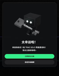 Trae Solo International Version Invitation Code/Activation Code