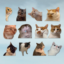 Cute and Funny Meme Meme Cat with Surprised Expression, Personalized Creative Car Stickers, Laptop Luggage Stickers