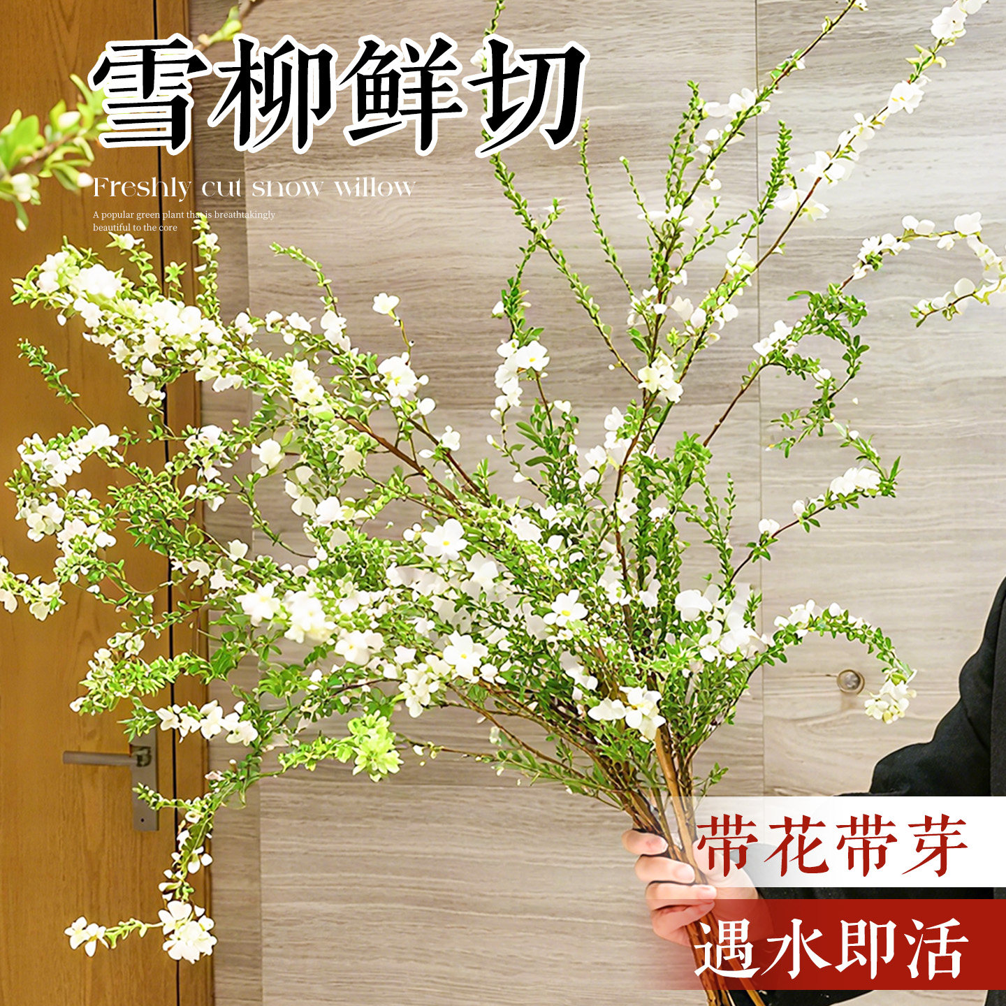 雪柳鲜枝遇水爆花摆件-淘宝逛一逛