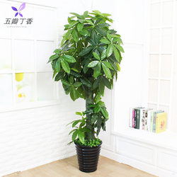 Large Plastic Money Tree Ornament Indoor Fortune Plant Office Fake Potted Plant Decoration Artificial Green Plant Fake Tree