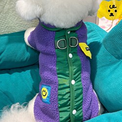 Pet Clothing for Autumn and Winter: Teddy, Bichon, Pomeranian, Yorkshire Terrier, Poodle, Small Dogs, Leash-Compatible Vest for Autumn