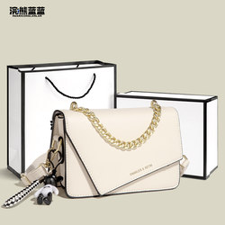 Raccoon Blue Blue Valentine's Day Gift for Girlfriend or Wife, Chain Small Square Bag, 2026 New Spring Versatile Crossbody Bag