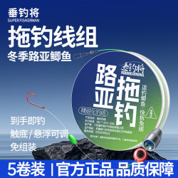 Fishing with Lure to Attract Crucian Carp, Line Set for Lure Fishing, Soft Worm for Autumn and Winter, Lure Carp Fishing Set