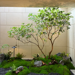 Premium Horsewood Green Plant Landscaping, Window Display Plants, Indoor Artificial Banyan Tree Decoration, Large Fake Tree, Minimalist Landscape
