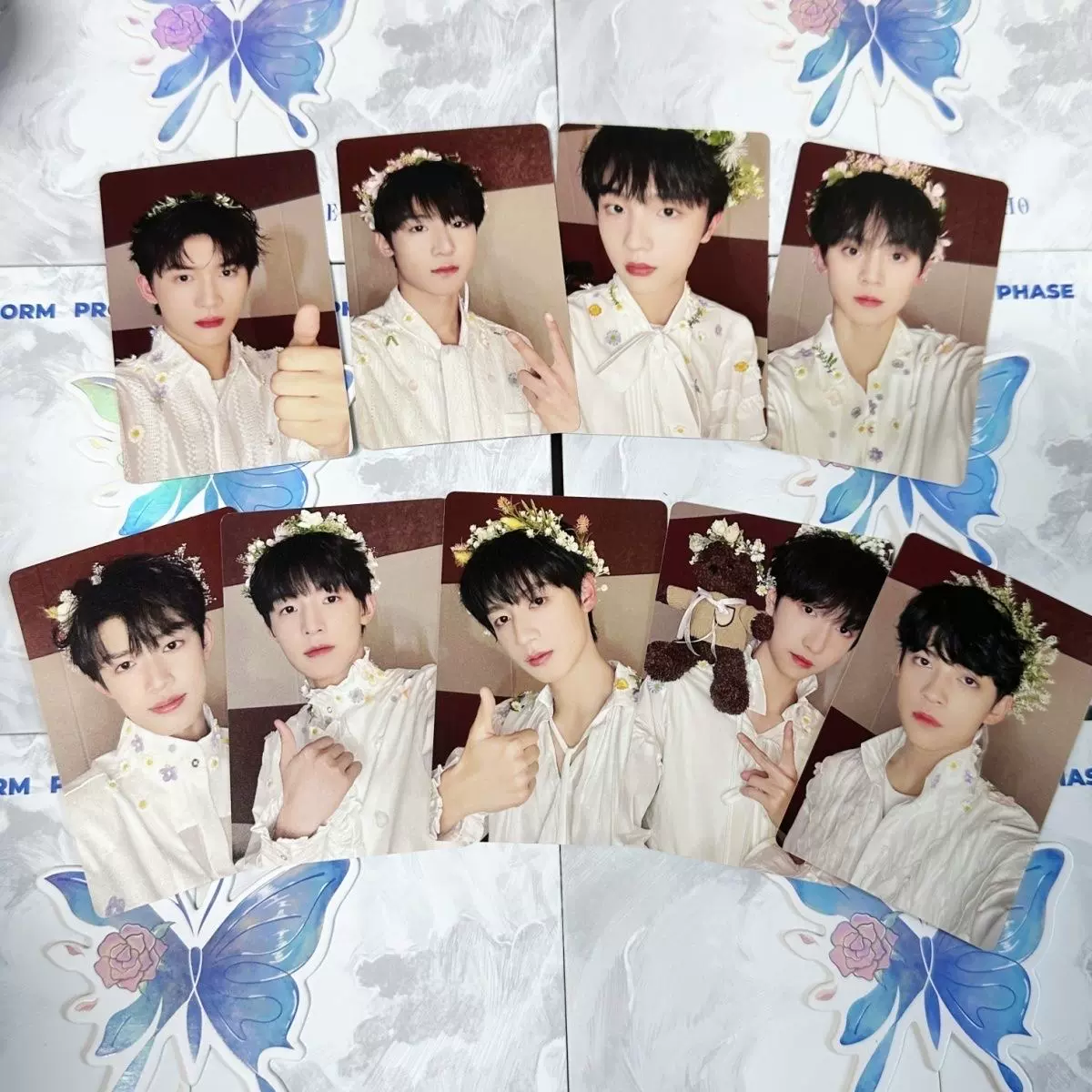 TF家族三代蝴蝶效应小卡家族款极禹婚卡陈天润张峻豪左