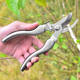 New 304 stainless steel pruning shears pruning branches scissors fruit tree pruning scissors scissors gardening scissors