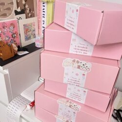 High-Quality Rectangular New Style Girly Pink Nude Pink Thickened Extra Hard Airplane Box for Card Packaging and Express Delivery