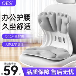 Oes Lumbar Support Cushion Ergonomic Chair Cushion for Office Long Sitting Comfort