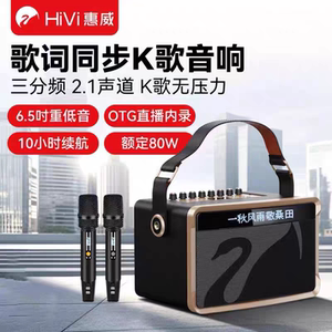 
Hivi MQ6 KTV speaker Bluetooth speaker square dance audio karaoke all-in-one portable speaker