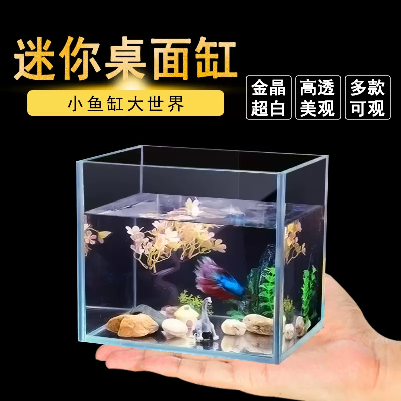 迷你小型超白鱼缸玻璃客厅桌面生态小型斗鱼金鱼乌龟长方形小