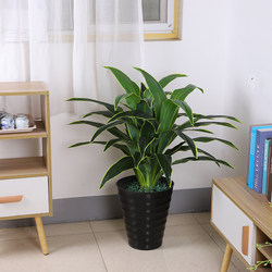 Artificial Green Plant, Brazilian Wood, Lush Potted Plant, Indoor Living Room Floor-Standing Fake Flower Ornament, Landscaping Decoration, Artificial Plant