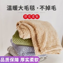 Pet Blanket Coral Fleece Thickened Cat Blanket Cat-Specific Dog Quilt Sleeping Mat Dog Bed Mat Autumn and Winter Style