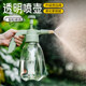 Watering kettle for watering flowers. Household pressure kettle sprayer for watering and cleaning. Special air pressure kettle for flower cultivation.