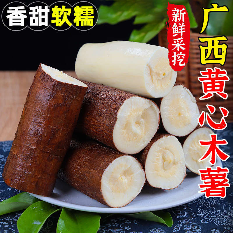 广西华南9号黄心木薯-淘宝逛一逛