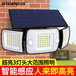 Solar-Powered Garden Wall Light That Turns on When People Come and Turns Off When They Leave, Outdoor Household Street Light, Automatic Human Body Sensor Light at Night