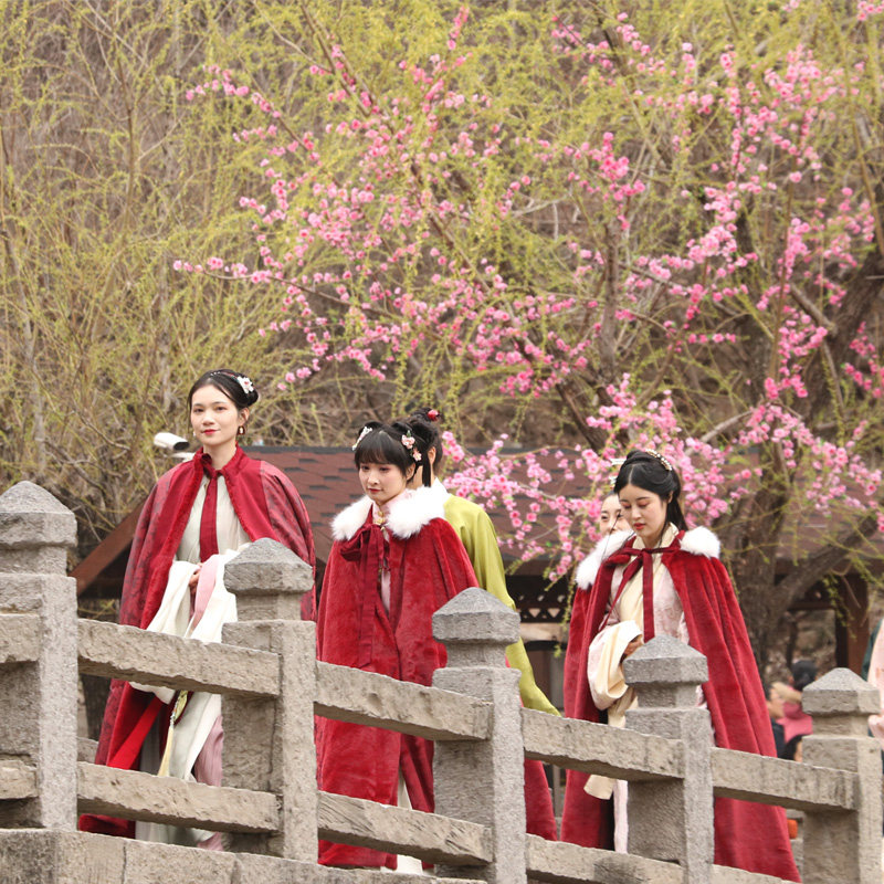 焦作云台山一日游纯玩旅河南郑州含门票洛阳出发往返半自由行景交