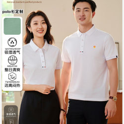 185g 40S Yarn Xinjiang Cotton Pique Lapel Short-Sleeved Polo Shirt 2024 New Style Workwear Group Clothing