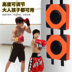 Wall-Mounted Boxing Target for Children and Adults, Punching Bag for Wall, Martial Arts Sandbag, Fitness Boxing Target