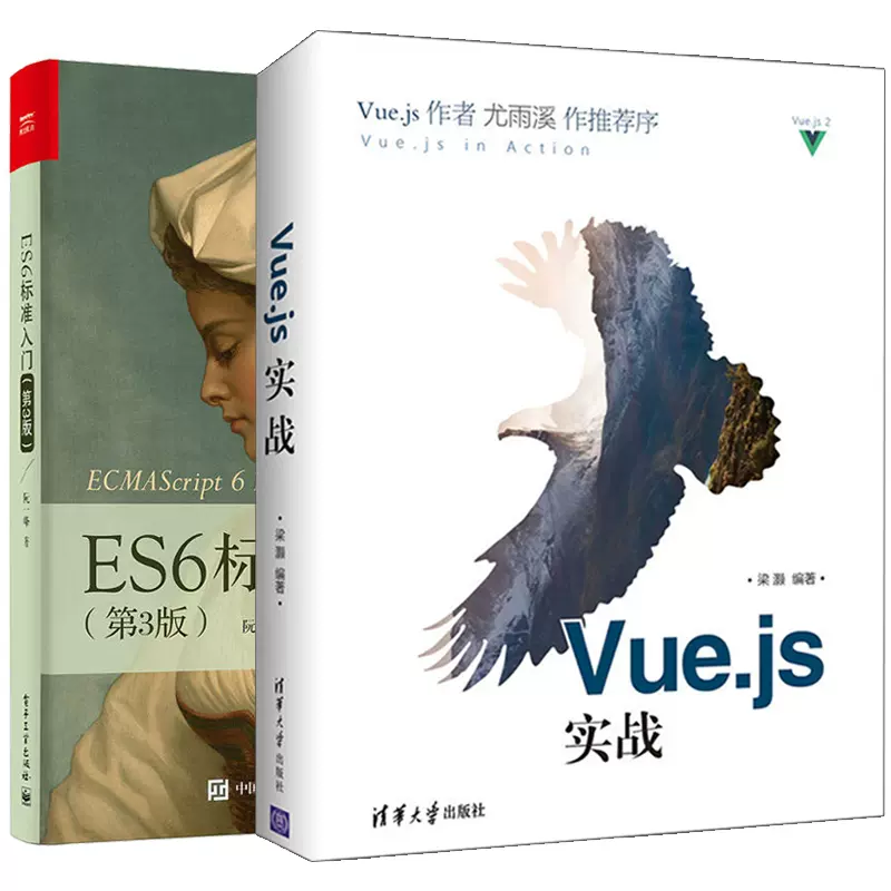 vuejs 販売 本